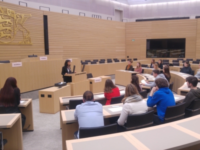 2018 POWEReinwanderer im LANDTAG BW